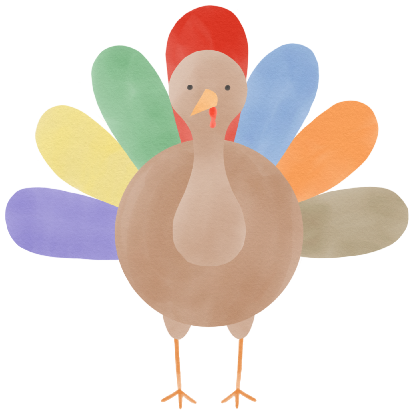 Solid Turkey T-Shirt