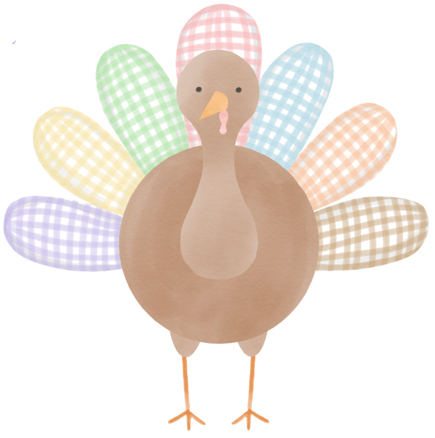 Pastel Turkey T-Shirt